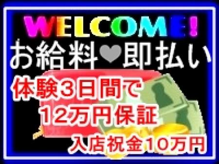 12万保証