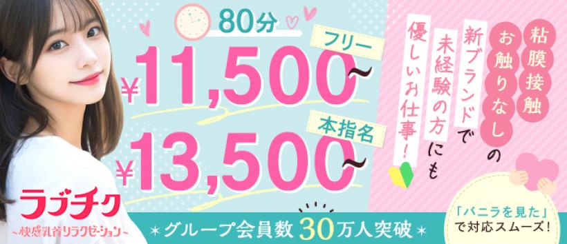 私立ラブチク学園の求人