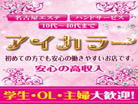 ソフトサービスです
